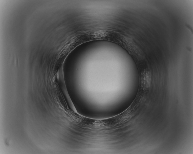 X0000100970608200806241553