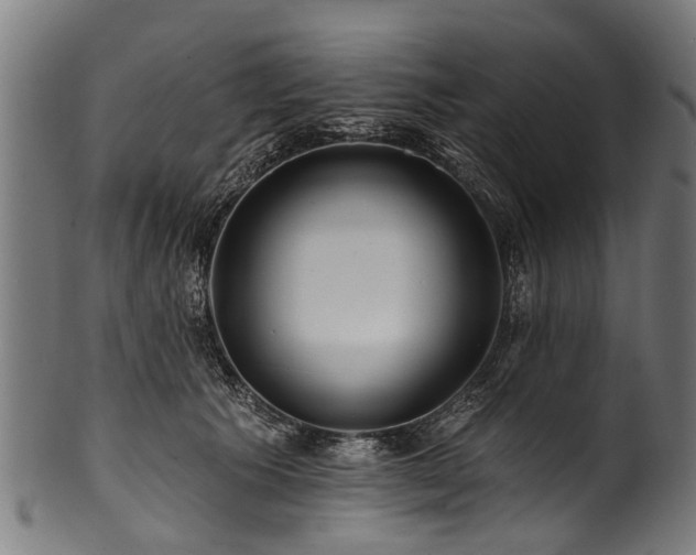 X0000100970609200806241553