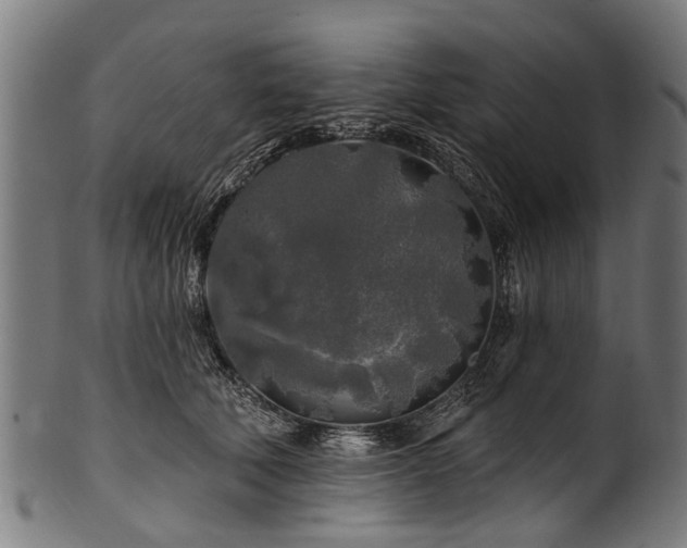 X0000100970610200806241553