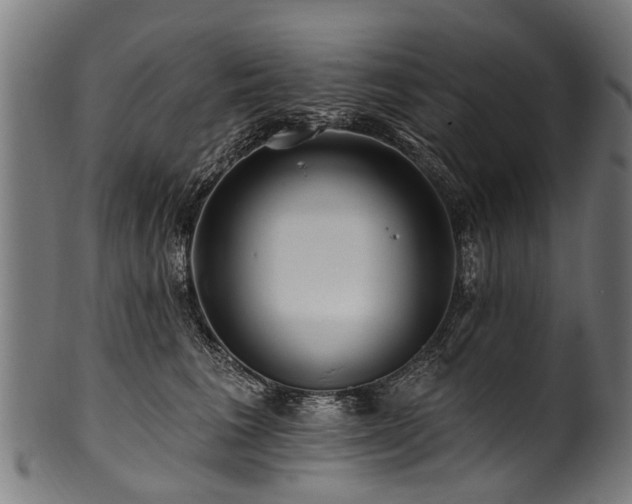 X0000100970613200806241553