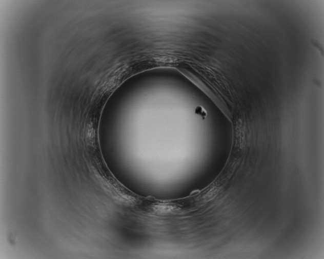 X0000100970614200806241553