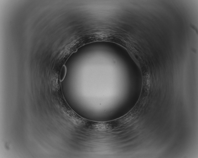 X0000100970615200806241553