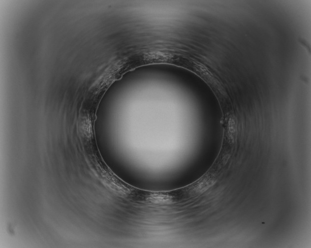 X0000100970617200806241553