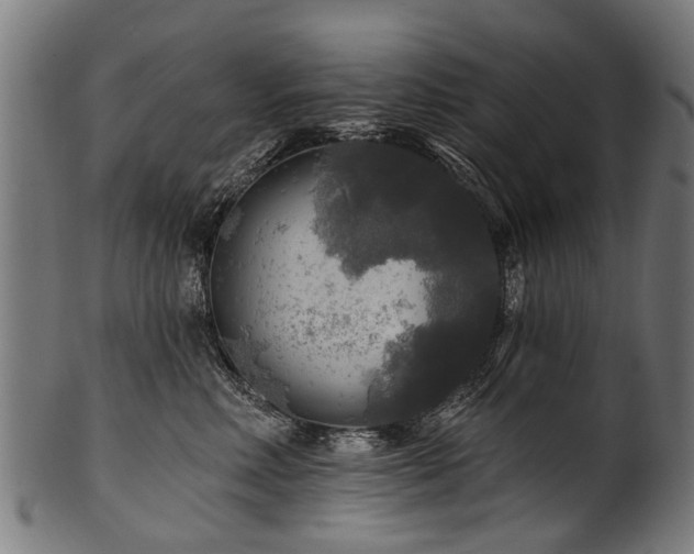 X0000100970618200806241553