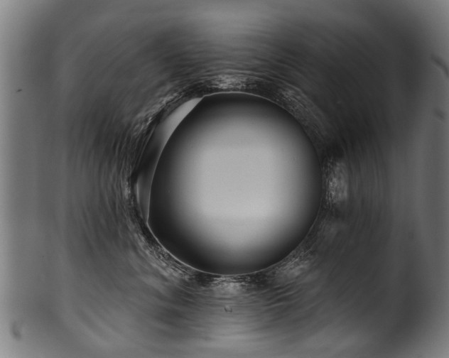 X0000100970620200806241552