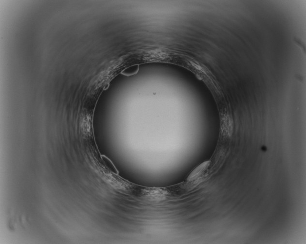 X0000100970621200806241552