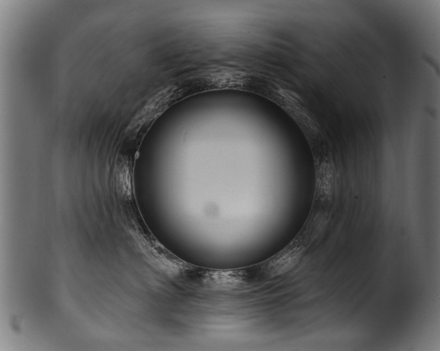 X0000100970622200806241552