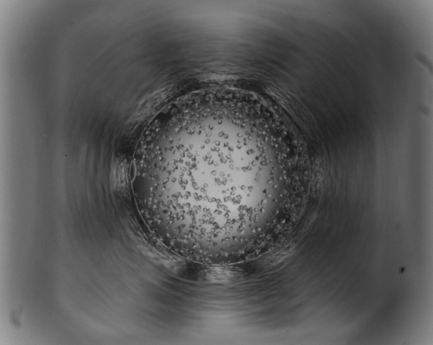 X0000100970623200806241552