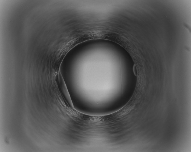 X0000100970624200806241552