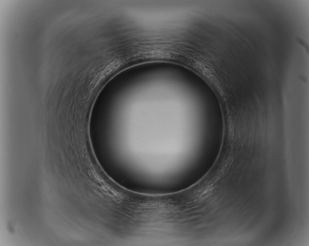X0000100970625200806241552