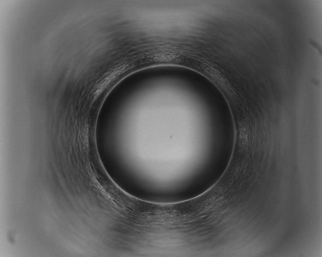 X0000100970626200806241552