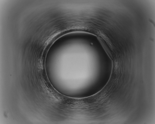 X0000100970628200806241552