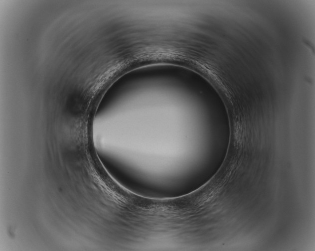 X0000100970629200806241552
