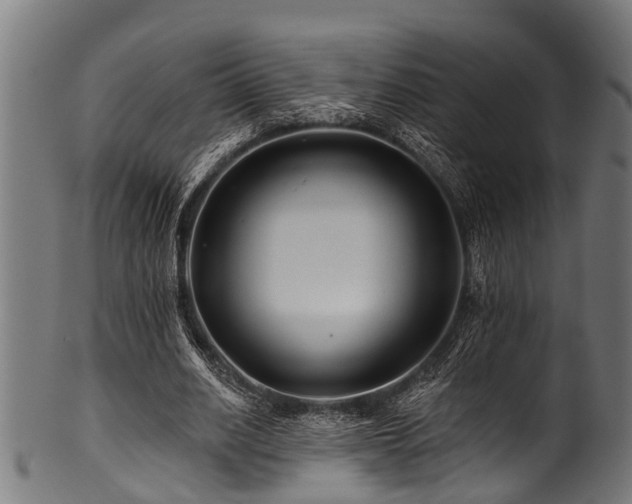 X0000100970630200806241552