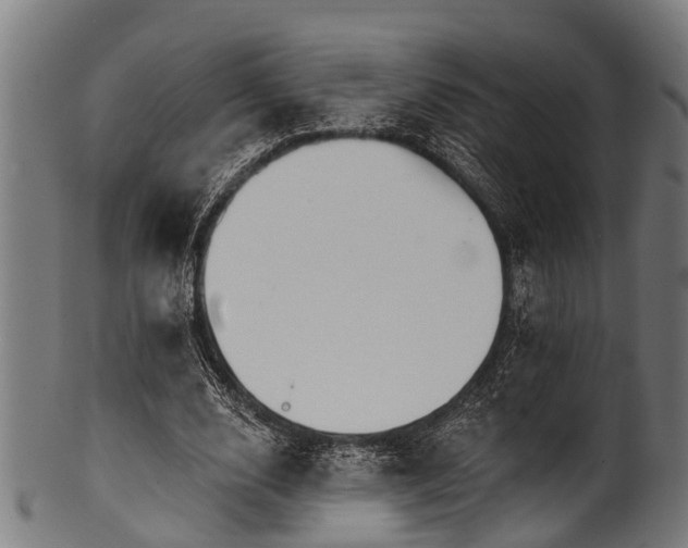 X0000100970632200806241552