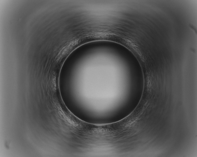 X0000100970633200806241552