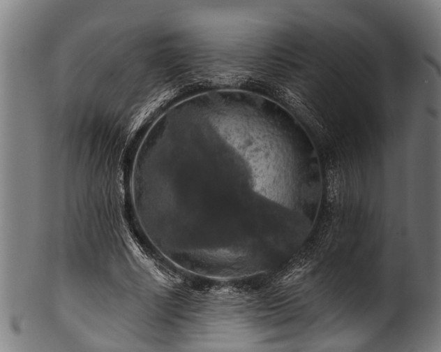 X0000100970634200806241552