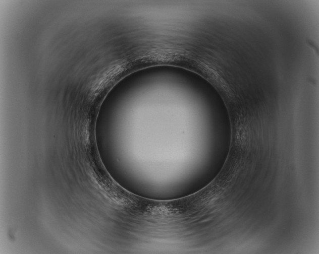 X0000100970635200806241552
