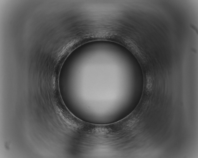 X0000100970636200806241552