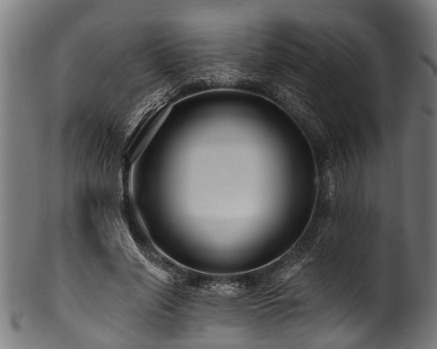 X0000100970638200806241552