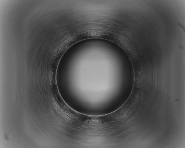 X0000100970639200806241552