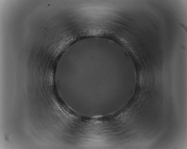 X0000100970640200806241552
