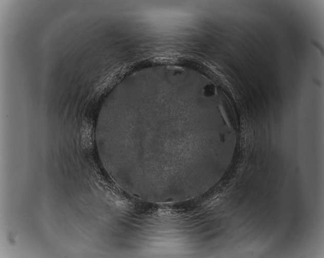 X0000100970641200806241552