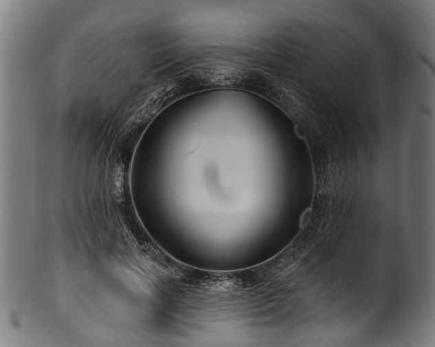 X0000100970646200806241552