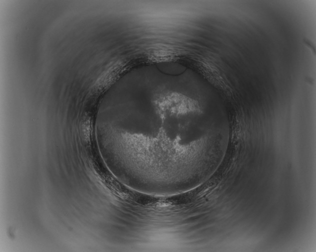 X0000100970647200806241552