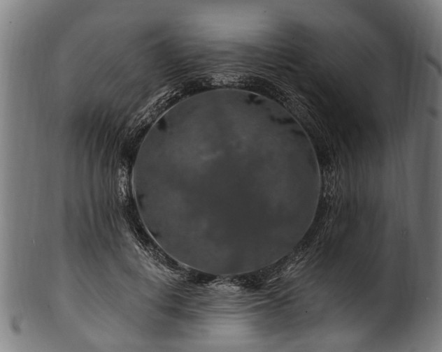 X0000100970648200806241552