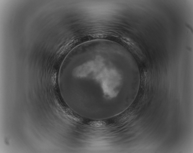 X0000100970652200806241552