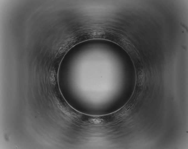 X0000100970654200806241552