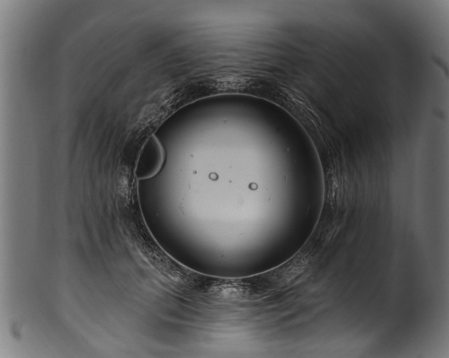 X0000100970655200806241552