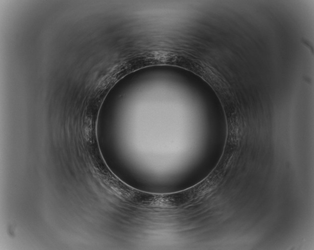 X0000100970656200806241552