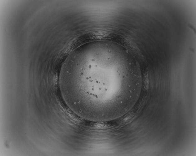 X0000100970657200806241552