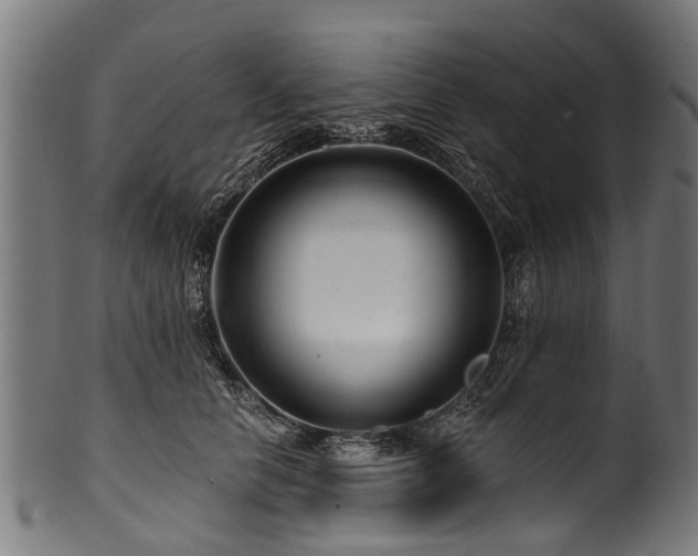X0000100970658200806241552