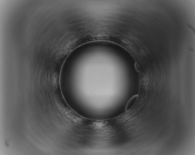 X0000100970662200806241552
