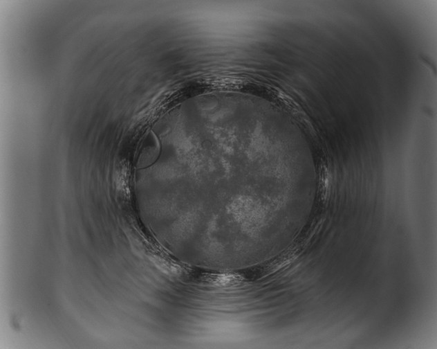 X0000100970663200806241552