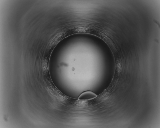 X0000100970665200806241552