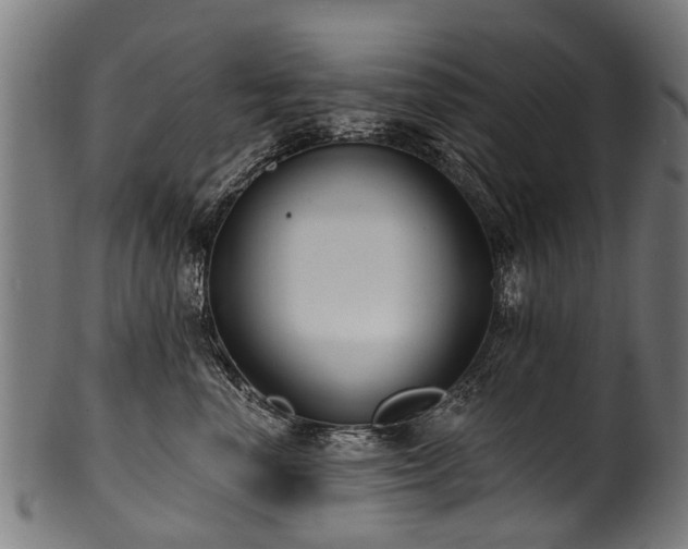 X0000100970666200806241552