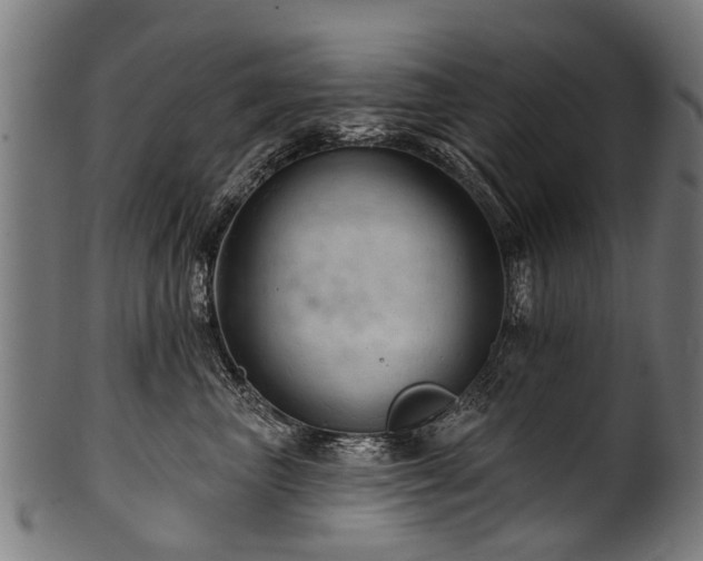 X0000100970667200806241552
