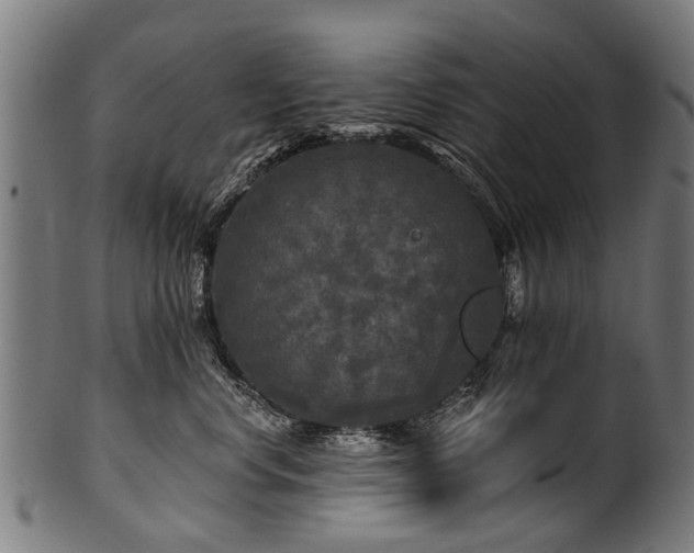 X0000100970668200806241552