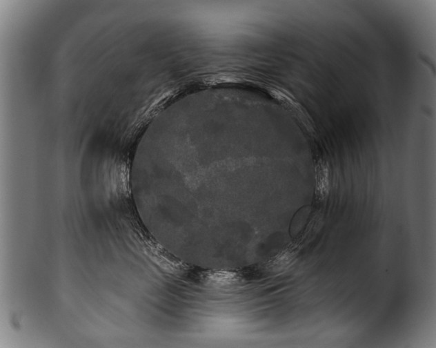 X0000100970669200806241552