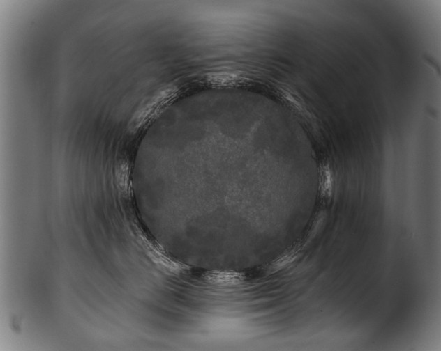 X0000100970670200806241552