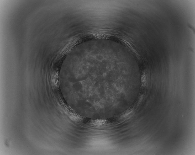 X0000100970671200806241552