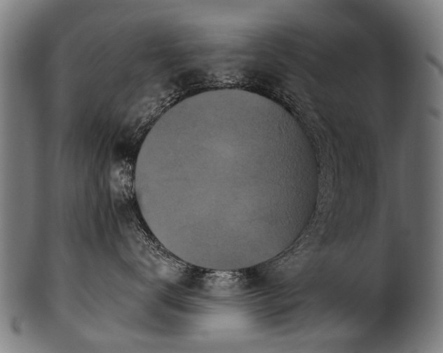 X0000100970672200806241552