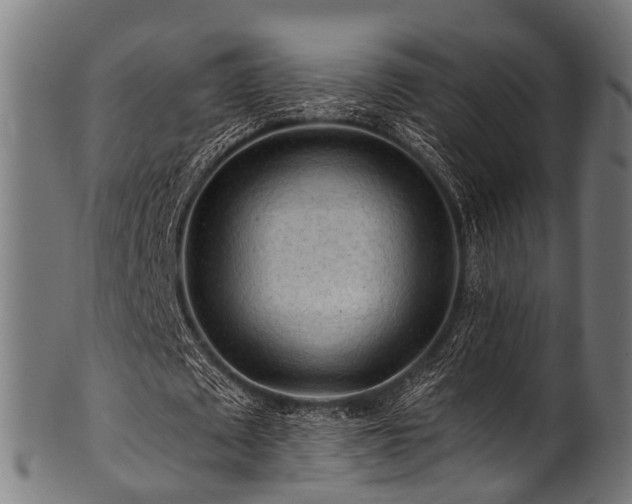 X0000100970673200806241552