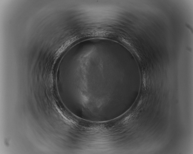 X0000100970674200806241552