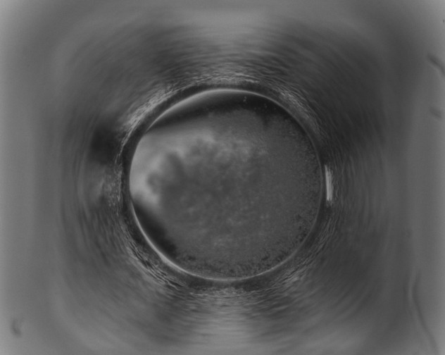 X0000100970675200806241552