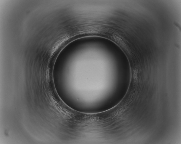X0000100970676200806241552